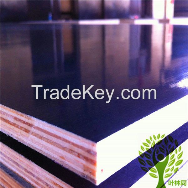 Strong Film faced plywood for sport floor