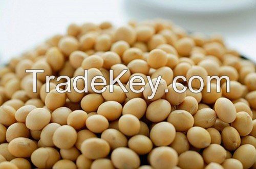 Soybeans for sales