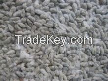 High Quality Cotton Seeds