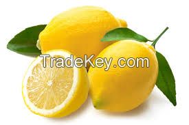 Supply Fresh Lemon