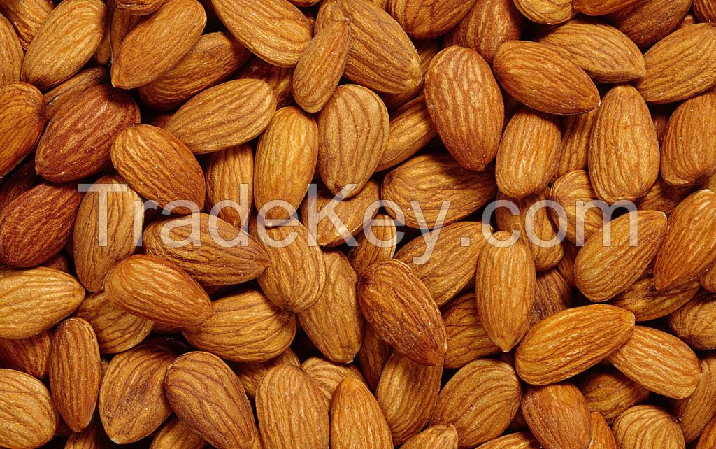 Almond nuts