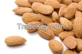 Dry Almond nuts for export