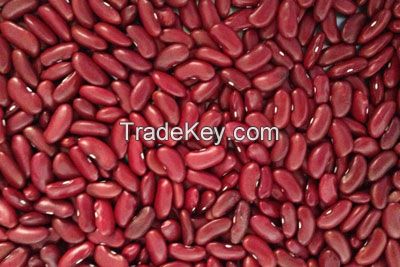 High quality low price healthy food nutritious delicious  kidney Beans