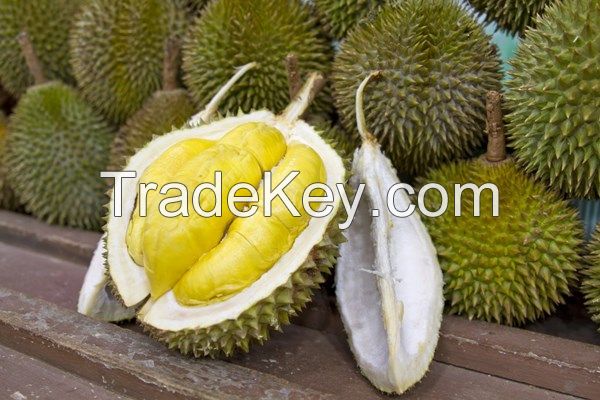 Fresh Durians