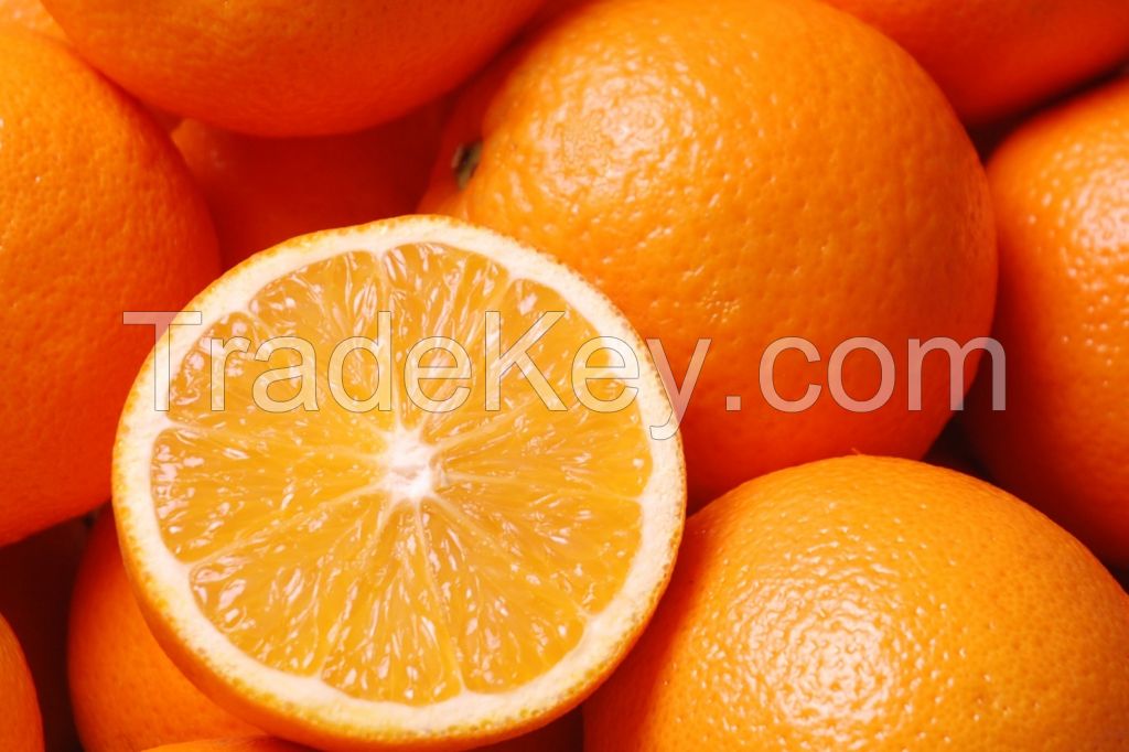 Fresh Sweet Navel / Valencia Oranges