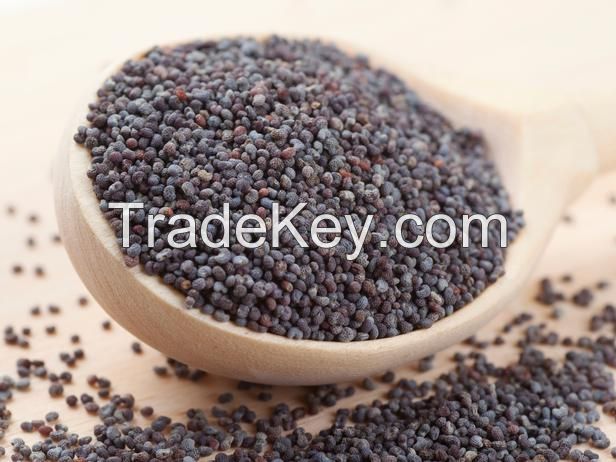 Bulk Blue/White/Brown Poppy Seeds