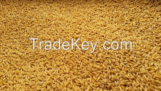 Quality  For Animal Feed For Sale