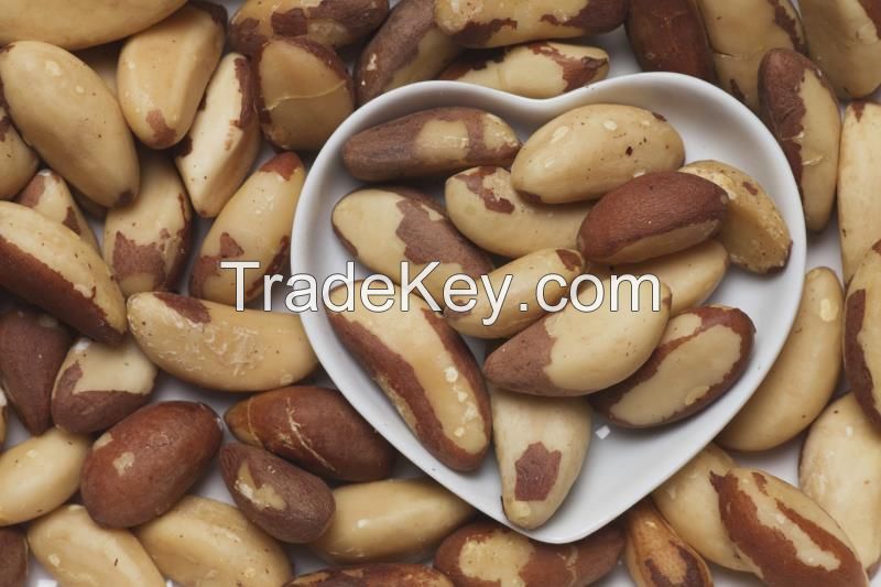 BRAZIL NUT