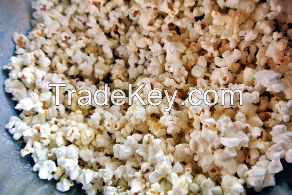 Popcorn exporter