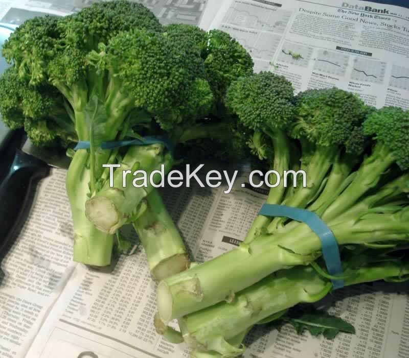Fresh Broccoli