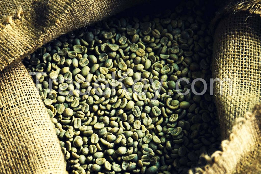 Green Coffee Beans