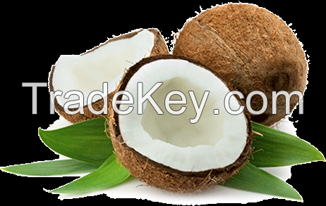 coconut oil