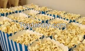 Grade 1 Popcorn