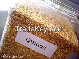 NON GMO QUINOA SEEDS