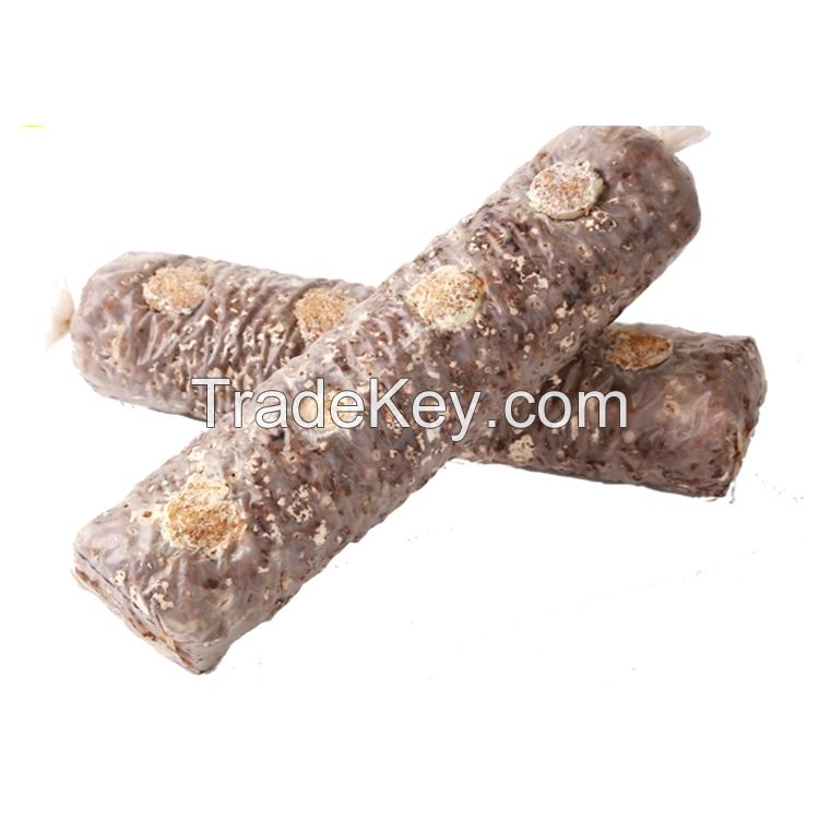 Shiitake Mushroom Bulk Logs Spawn For Sale