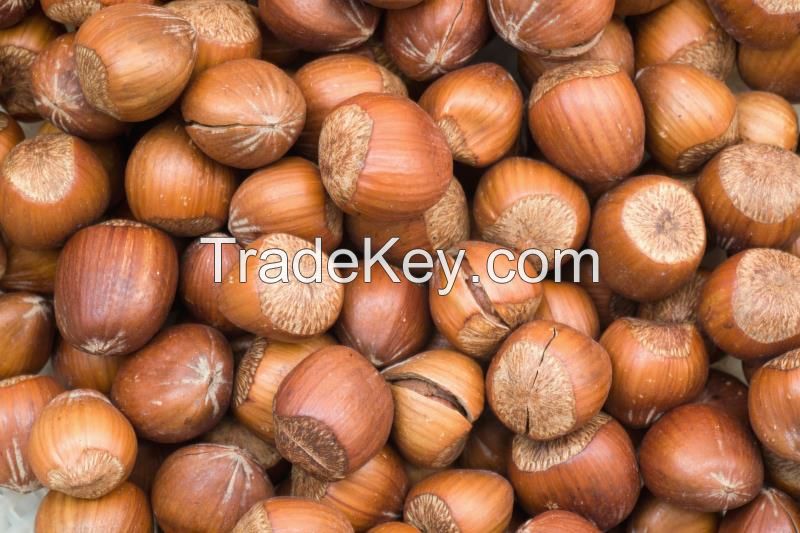 Hazelnuts