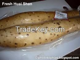 Chinese Yam/Shan Yao