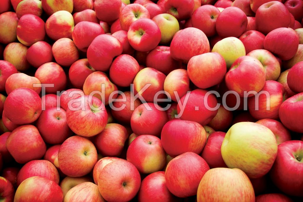 apples