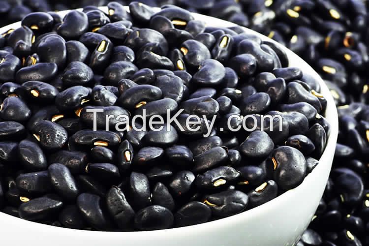 black kidney beans