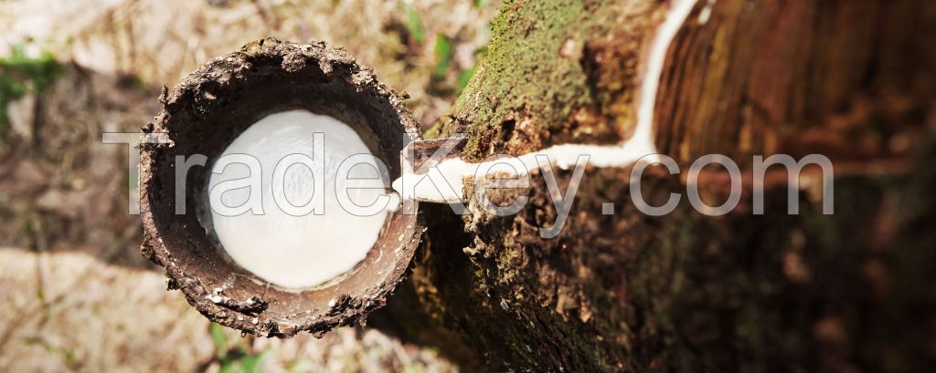 Best Quality Raw Natural LIQUID Rubber 60% Concentrated Latex.