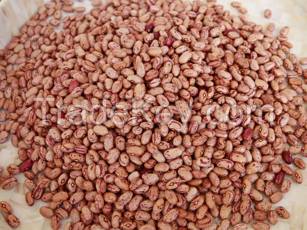 KIDNEY BEANS