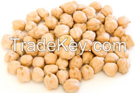 CHICKPEAS