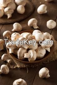 IQF Mix Mushroom