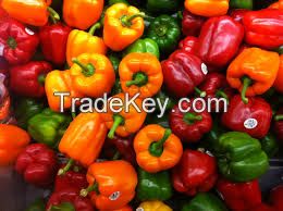 Ref, Orange, Yellow and green capsicum