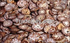 Refined Betel Nuts