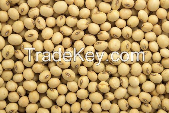 Non Gmo Soybean Seed - Buy 100% Pure Soy Bean Wholesale