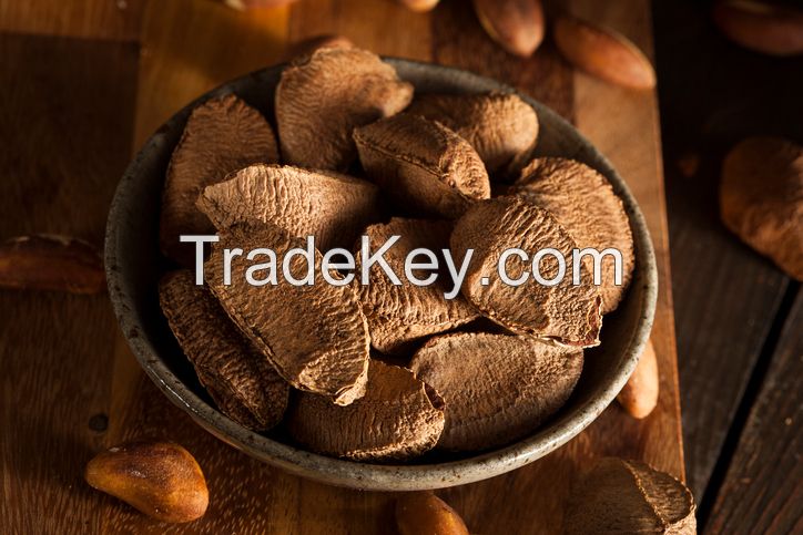 Raw brazil nuts / Brazil nuts Thailand / Organic Brazil Nuts