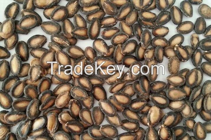 Melon Seeds/ Black Melon Seeds/ Water Melon Seeds