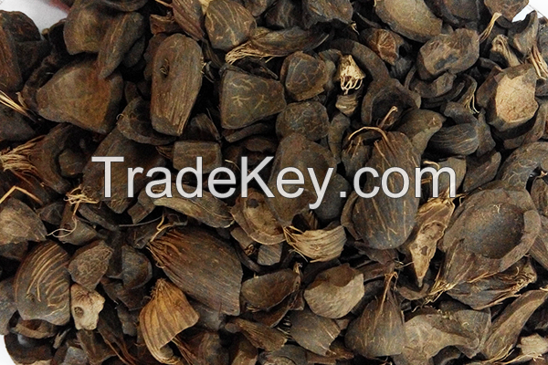 Good Quality Palm Kernel Shell