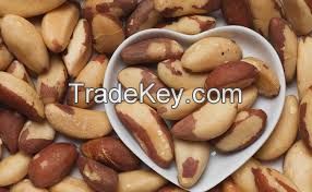 Brazil Nuts