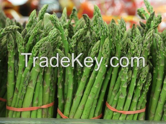 Fresh Asparagus