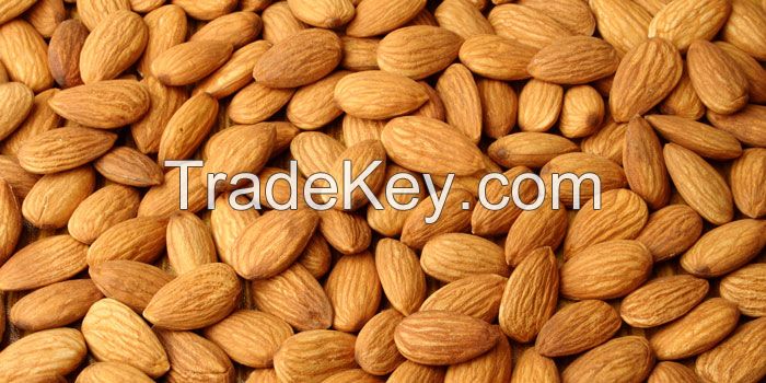 Almonds Nuts