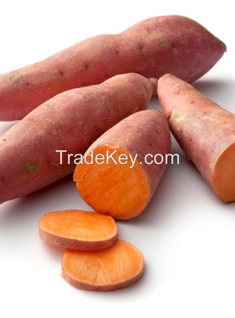 Fresh sweet potato, red, white potato, sweet potato chips, cassava, flour, cake, canned, Dry, frozen