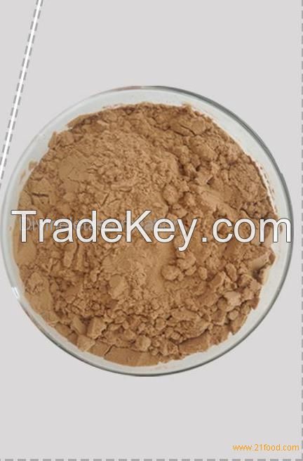 Noni Powder