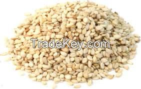 sell sesame seeds