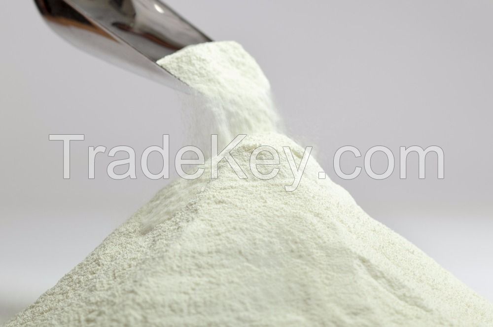 SKIMMED MILK / FULL CREAM MILK Baby Milk Powder