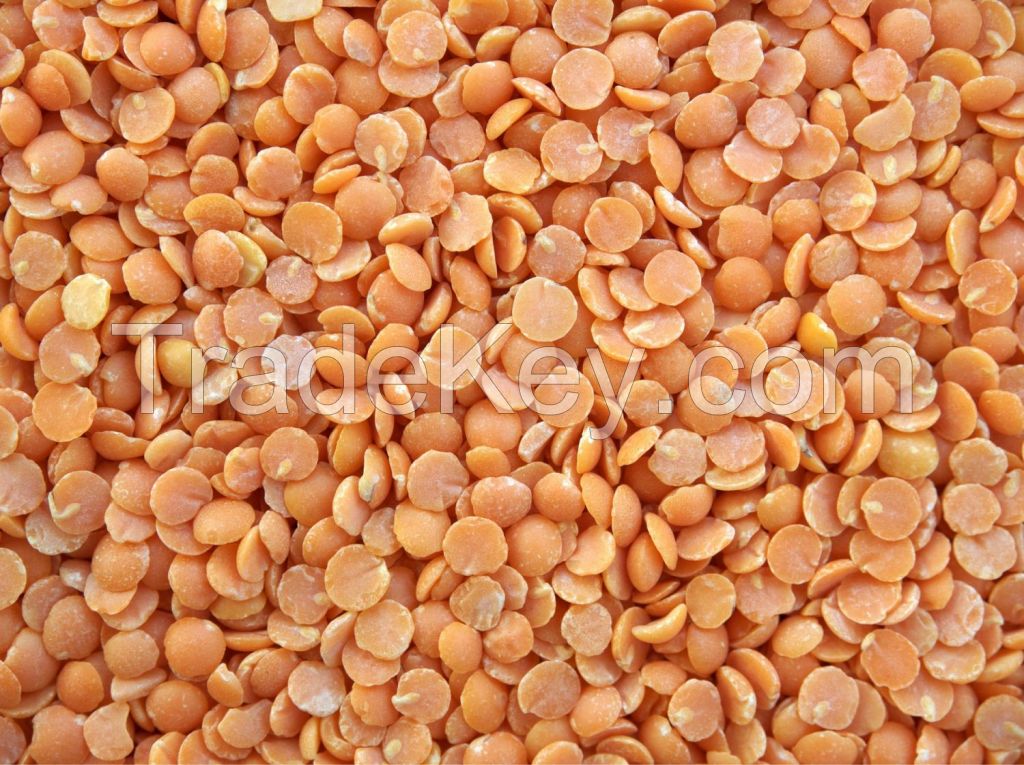 PULSES / LENTILS