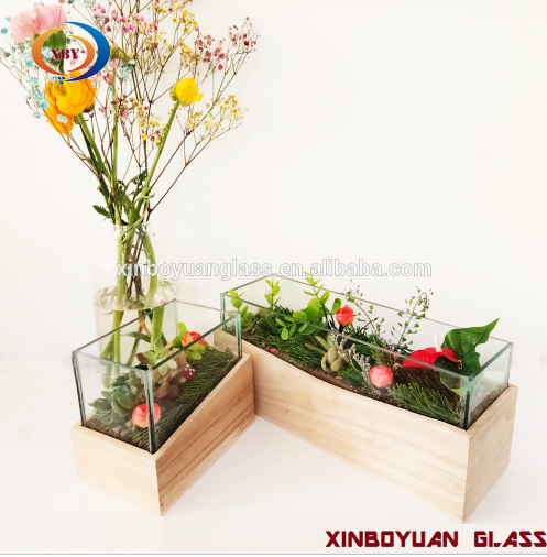 2018 new cheap plant glass terrarium for home decoration wood base