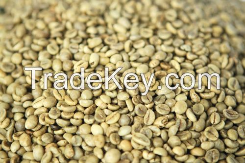 Vietnam robusta Grade 1- Screen 18