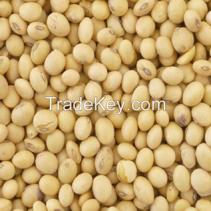 Soybeans