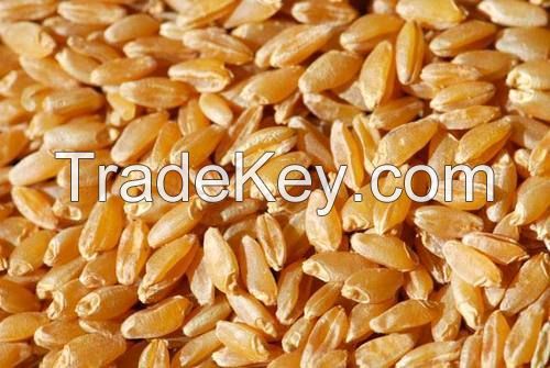 sell Grade A Durum Wheat / Wheat Grains for Sale/ milling wheat