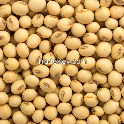 best  quality grade yellow soybeans grains