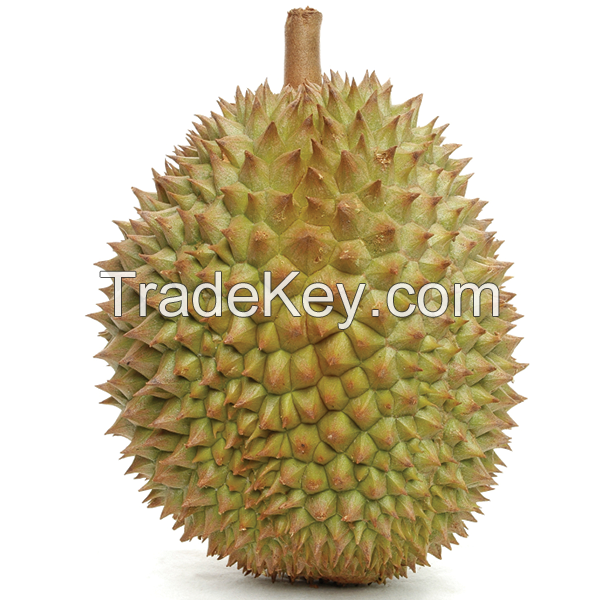 HIGH QUALITY FRESH DURIAN FROM VIET NAM