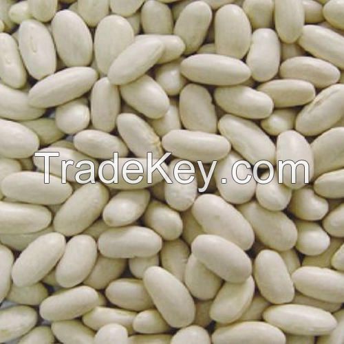 Kidney Beans Suggar Beans, White Kidney beans, Light Speckled Kidney Beans