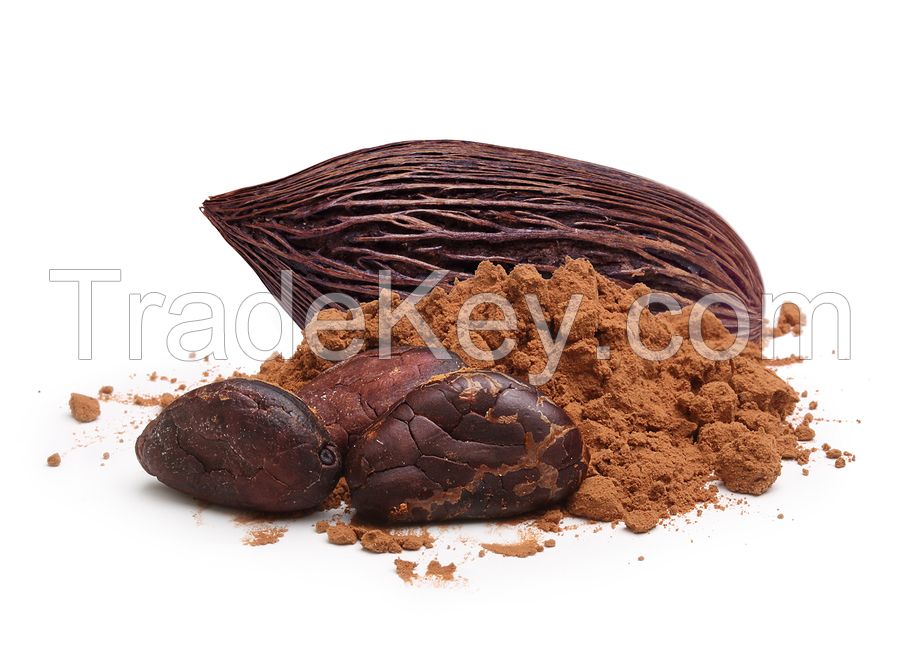 Raw Organic Cacao Powder