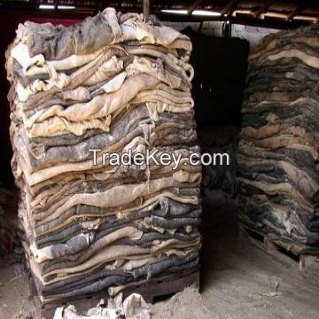 Best Grade Wet Salted Donkey hides / Wet salted Donkey / Cow Skin / Dry salted Cow hides..